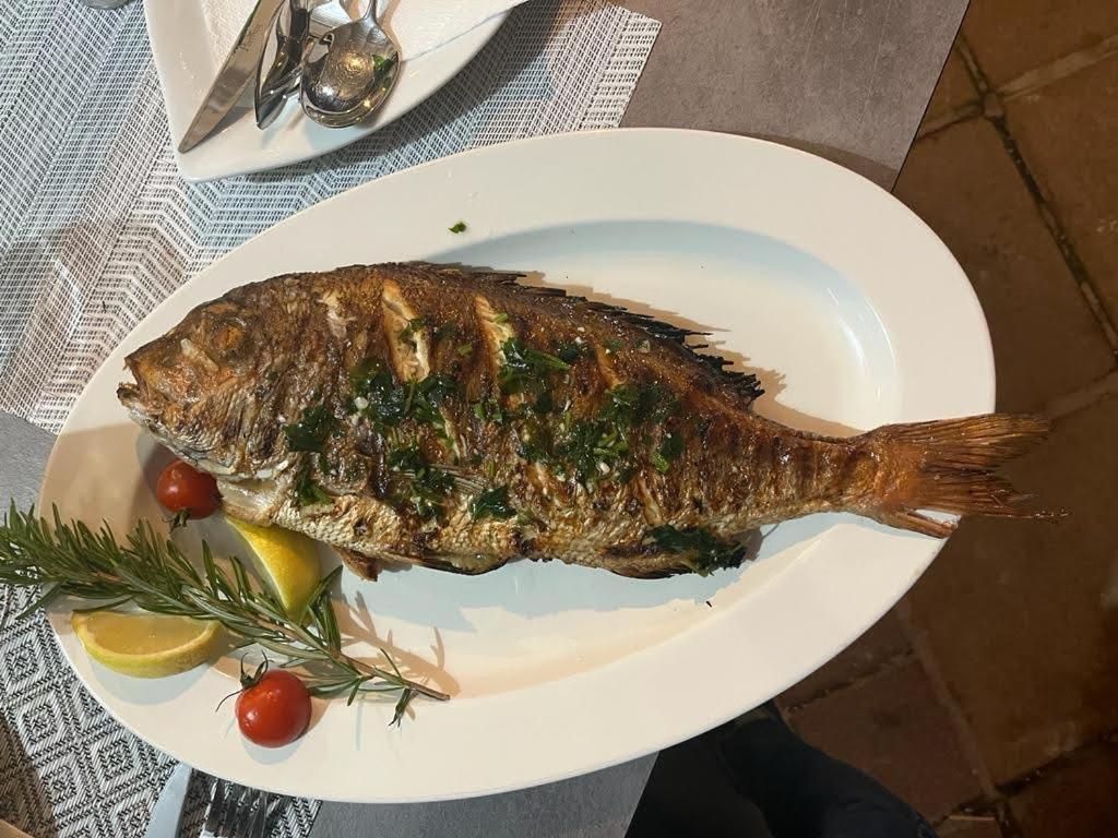 Vila Nataly Trogir Luaran gambar